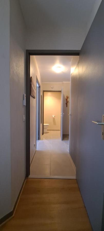 Appart T2 Standing Tout Confort Avec Balcon - Parking En Option Lyon Exteriér fotografie